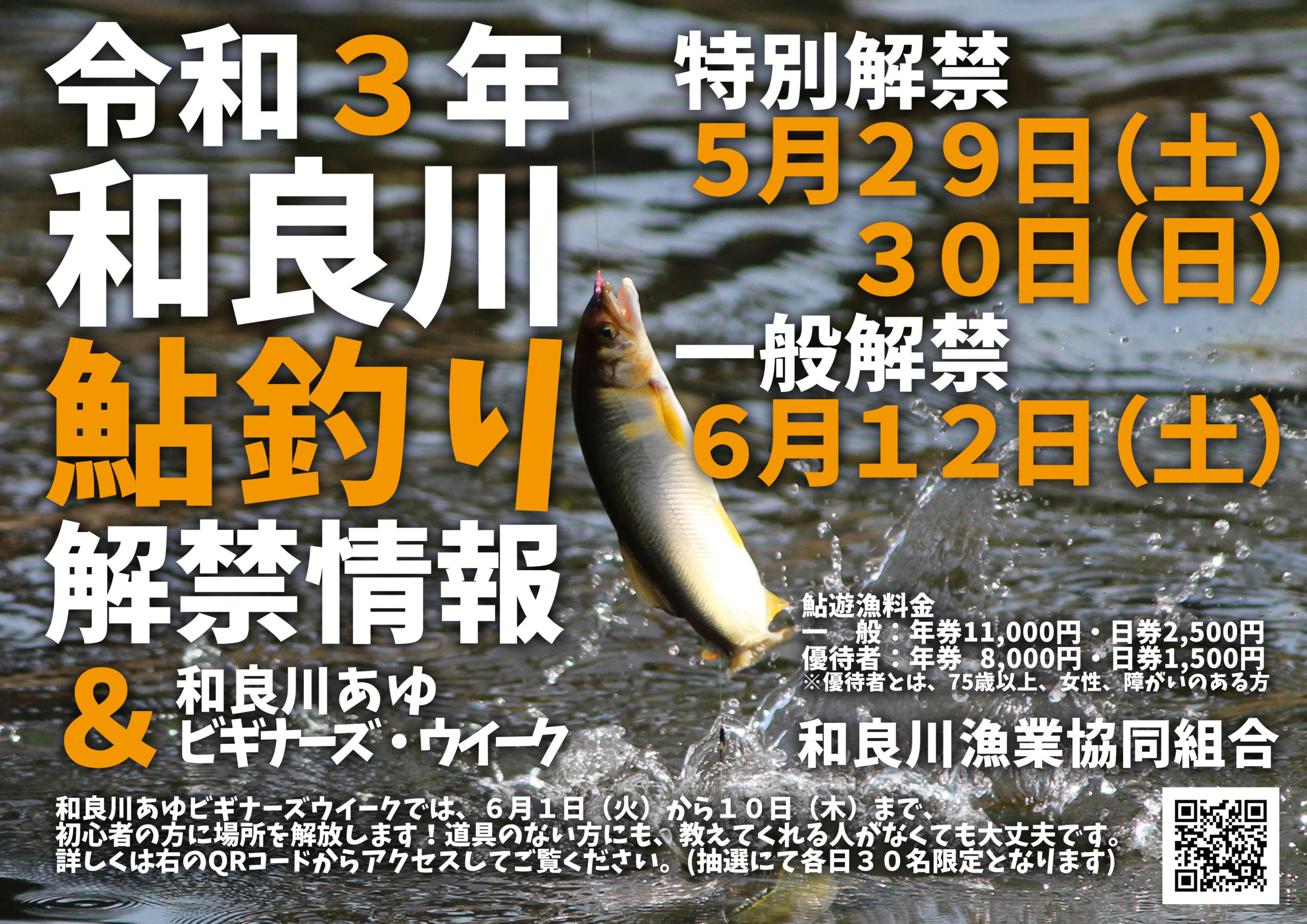 令和３年和良川鮎釣り解禁情報 郡上で鮎釣り始めました